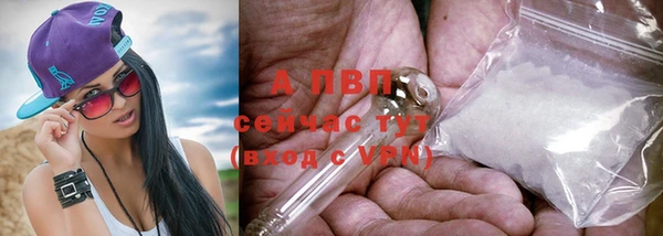 стафф Аркадак