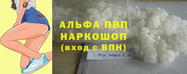 крисы Армянск