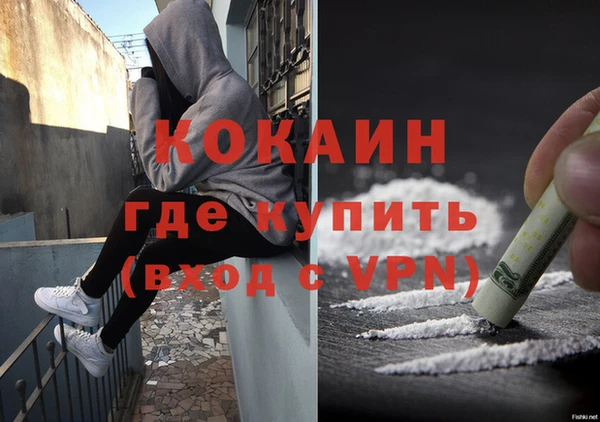 крисы Армянск