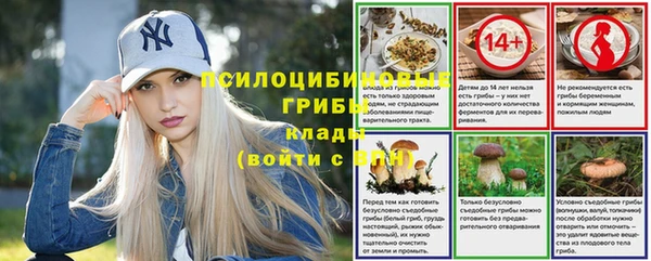 стафф Аркадак