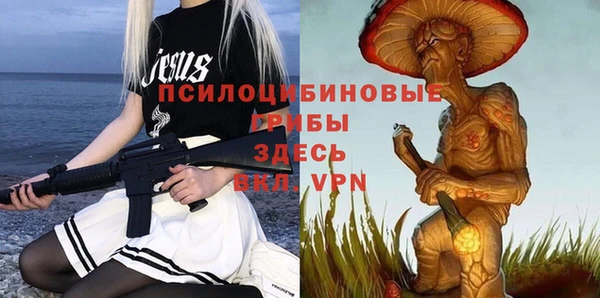 стафф Аркадак