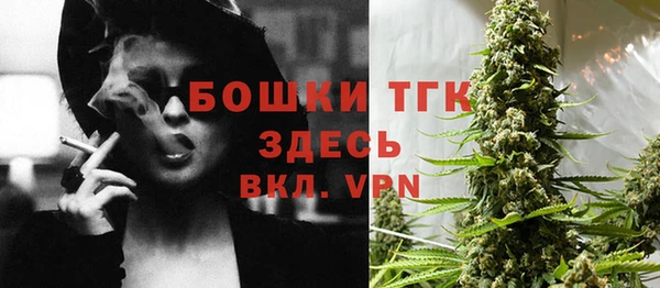 крисы Армянск