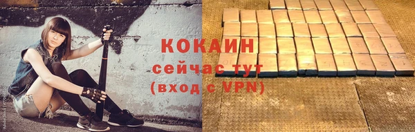стафф Аркадак