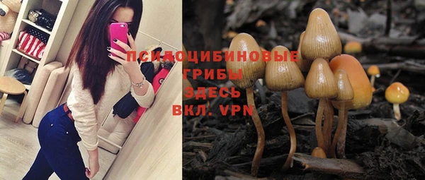 стафф Аркадак